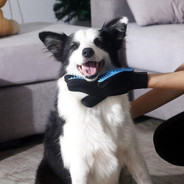 Luva Magica Massageadora Tira Pelos Cães E Gatos Silicone - Imagem 3